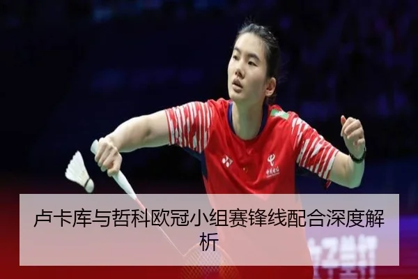 卢卡库与哲科欧冠小组赛锋线配合深度解析
